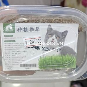 Bộ trồng cỏ mèo Taotaopet