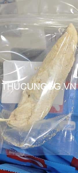 kiotviet_806477a82e811dd23abe0d93cc1616f4 kiotviet_806477a82e811dd23abe0d93cc1616f4