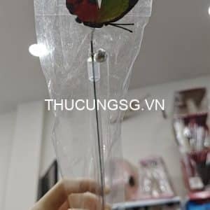 Gậy mèo bươm bướm