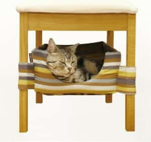 Nệm giấu dưới ghế Cattyman