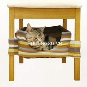 Nệm giấu dưới ghế Cattyman