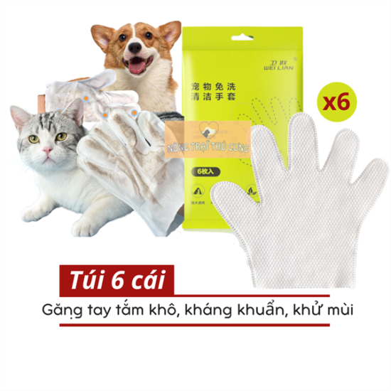 kiotviet_8e805c5e2518480071f6544f3cb3d4ff
