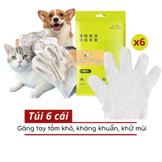 kiotviet_8e805c5e2518480071f6544f3cb3d4ff kiotviet_8e805c5e2518480071f6544f3cb3d4ff