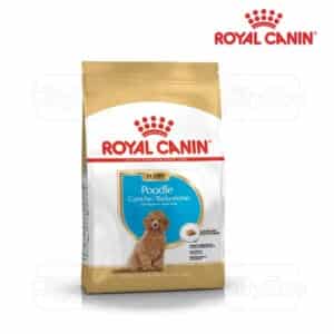 Royal Canin Poodle Puppy 1.5kg - Gói