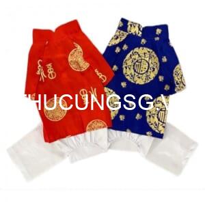 Áo dài tết HK