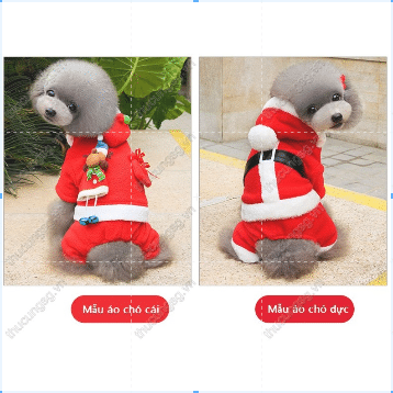 kiotviet_9832672eaa33601db51cc6549d70a02b kiotviet_9832672eaa33601db51cc6549d70a02b