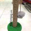 kiotviet_9d4b1a1449d05c74683737fc6da1c681
