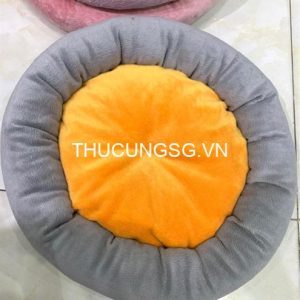 Nệm tròn màu sắc