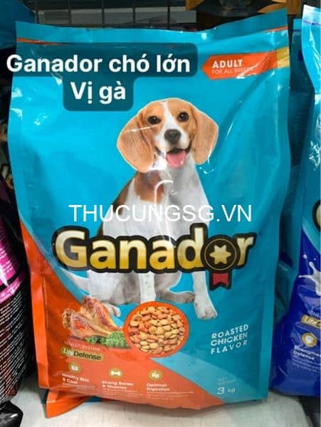 kiotviet_a07883b67d8e24e36319d15a9772bbb9 kiotviet_a07883b67d8e24e36319d15a9772bbb9