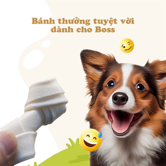 kiotviet_a85316c56a9bdde1778912183e2c3650 kiotviet_a85316c56a9bdde1778912183e2c3650