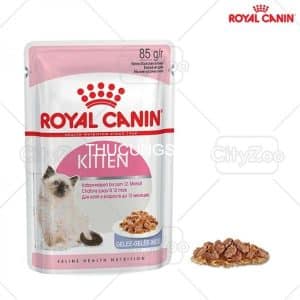 Royal Canin Jelly Kitten 85g (dạng thạch) - Gói