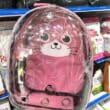 kiotviet_abe6ce01d4c67b7e2d9743da82b3c8e2