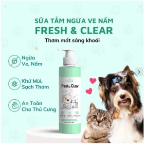 Sữa tắm Diva Fresh & Clear chai 250ml
