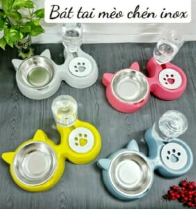 Bát tai mèo kèm chén inox bình nước