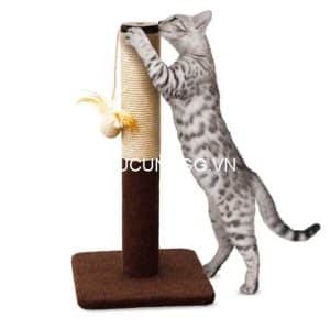 Trụ cào mèo đế vuông Cattyman