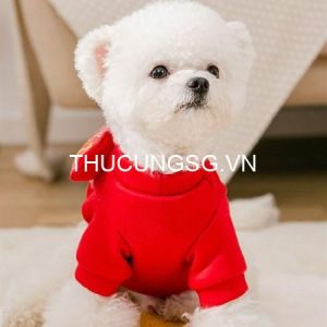 kiotviet_befe5c01a2f34ad6370285be6c349cfc