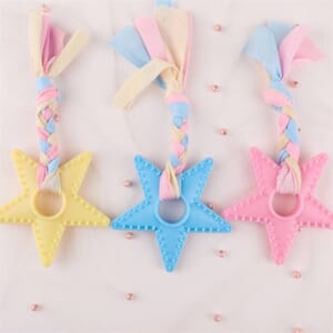 Đồ chơi cho chó gặm bằng cao su mẫu pastel