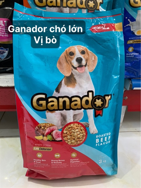 kiotviet_c2b3e82b879ed705aa785f0afab9fed6 kiotviet_c2b3e82b879ed705aa785f0afab9fed6