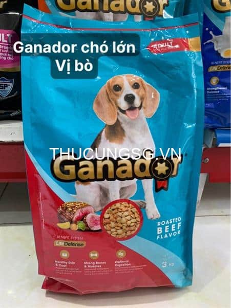 kiotviet_c2b3e82b879ed705aa785f0afab9fed6 kiotviet_c2b3e82b879ed705aa785f0afab9fed6