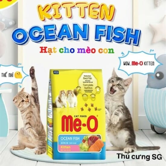 kiotviet_c660922401aac1dfe3bf12519de9d526 kiotviet_c660922401aac1dfe3bf12519de9d526