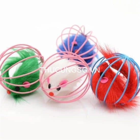 kiotviet_ccad14f48a2e3f3e88ccf787710fd1a2 kiotviet_ccad14f48a2e3f3e88ccf787710fd1a2