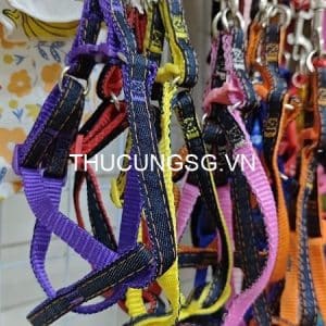 Dây dắt và yếm zichen bản 1cm - bộ