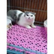kiotviet_f4ef0fe609d5c27d63ab56a5f89f213a