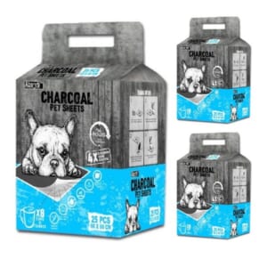 Tã lót than hoạt tính Charcoal 25M - cái