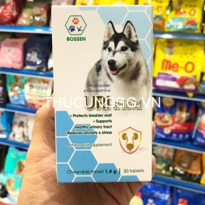 kiotviet_ffccb7ab923608c8a1ded693697960e1