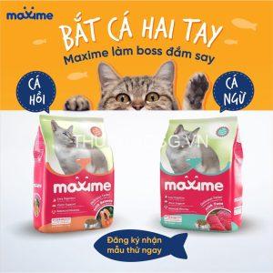 Thức ăn mèo Maxime adult & kitten gói 1.2kg