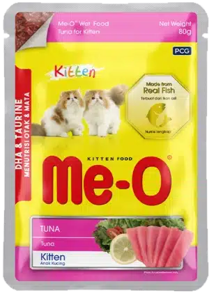 meo meo con ca ngu meo meo con ca ngu