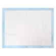 Giấy lót khay vệ sinh cho chó mèo 45x60cm