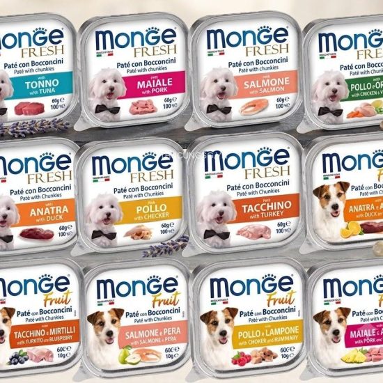 monge cho