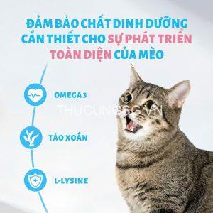 mr vet t2 1