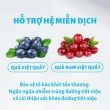 mr vet t4_3