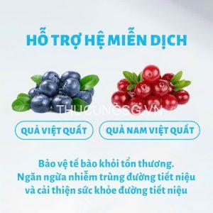mr vet t4_3