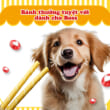 que doggyman phomai 1
