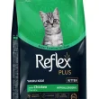 reflex kitten plus