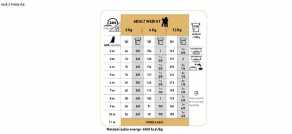 royal canin poodle puppy