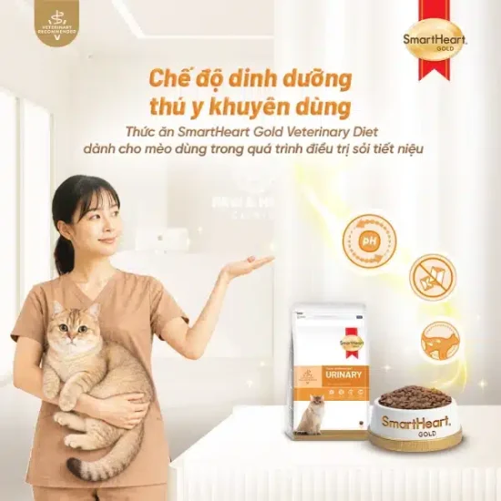 shg-vet-urinary-anh-1-large.jpg