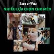 sup thuong bite of wild 5