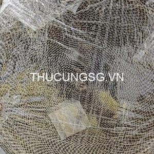 Bàn cào tròn giấy 30cm