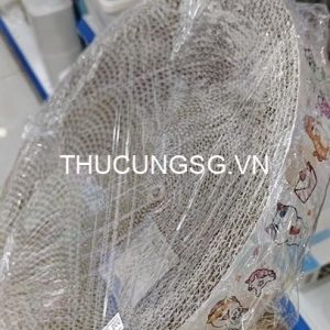 kiotviet_a0b5621ae0a806f4f43b256b57d0af23