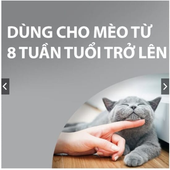 kiotviet_e886364fd4b1b9212811ae58565cbd82