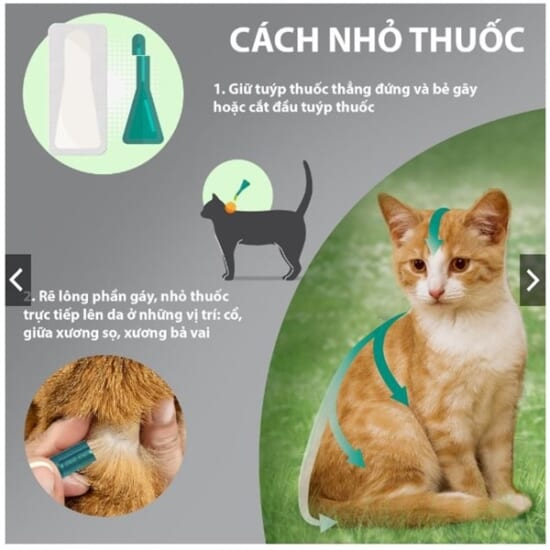 kiotviet_eea85ea98aed561773e00f8d5334b0cd