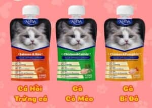 Súp nắp vặn amna 100g