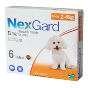 Nexgard 11mg (2-4kg) - Hộp 6v