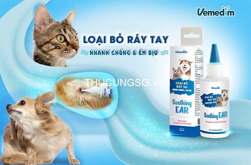 kiotviet_7b7e0672d1331046e9da20eb64bebf2d kiotviet_7b7e0672d1331046e9da20eb64bebf2d