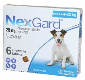 Nexgard 28mg(4-10kg) - Hộp 6v