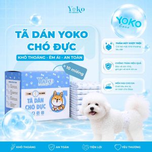 Tã quần chó đực YoKo size M